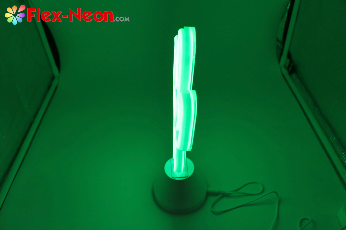 Green Cactus LED Neon Tube Night Light Home Bedroom Desk Lamp Christmas Gift by Flex-Neon.com