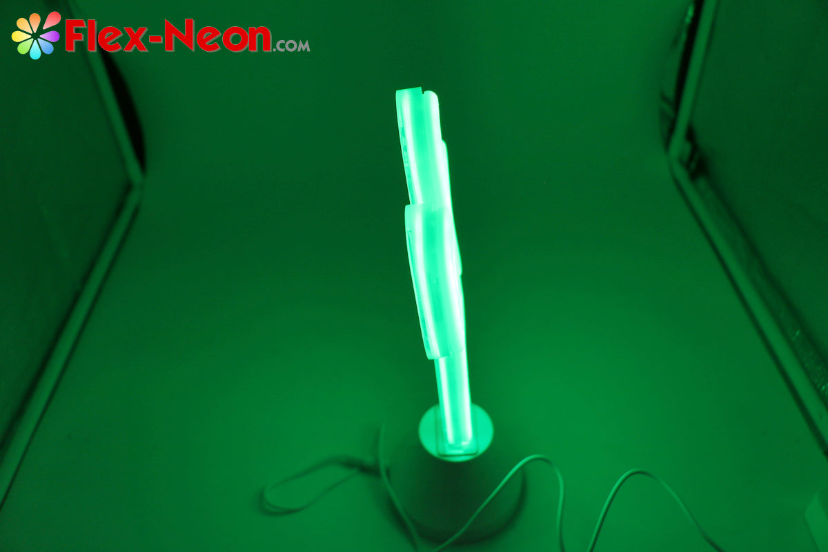 Green Cactus LED Neon Tube Night Light Home Bedroom Desk Lamp Christmas Gift by Flex-Neon.com